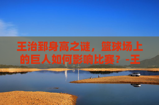 王治郅身高之谜,篮球场上的巨人如何影响比赛?-王治郅身高体重 王治郅身高之谜,篮球场上的巨人如何影响比赛?-王治郅身高体重