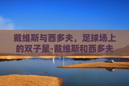 戴维斯与西多夫,足球场上的双子星-戴维斯和西多夫谁厉害一点 戴维斯与西多夫,足球场上的双子星-戴维斯和西多夫谁厉害一点