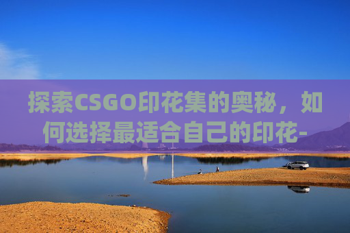 探索CSGO印花集的奥秘，如何选择最适合自己的印花-csgo印花集什么样的好看