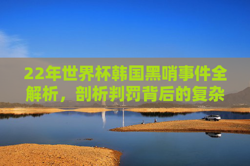 22年世界杯韩国黑哨事件全解析,剖析判罚背后的复杂逻辑与影响-02年韩国世界杯黑哨处理结果 22年世界杯韩国黑哨事件全解析,剖析判罚背后的复杂逻辑与影响-02年韩国世界杯黑哨处理结果