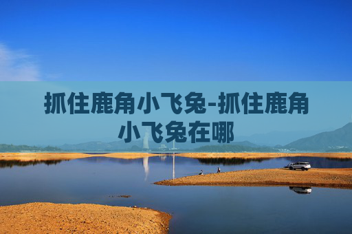 抓住鹿角小飞兔-抓住鹿角小飞兔在哪