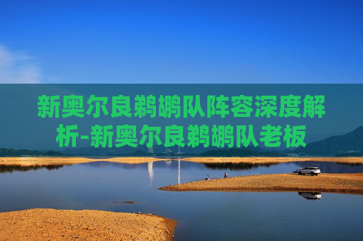 新奥尔良鹈鹕队阵容深度解析-新奥尔良鹈鹕队老板 新奥尔良鹈鹕队阵容深度解析-新奥尔良鹈鹕队老板