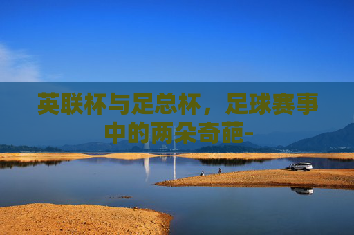 英联杯与足总杯,足球赛事中的两朵奇葩- 英联杯与足总杯,足球赛事中的两朵奇葩-