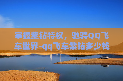 掌握紫钻特权，驰骋QQ飞车世界-qq飞车紫钻多少钱