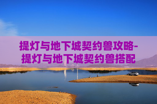 提灯与地下城契约兽攻略-提灯与地下城契约兽搭配