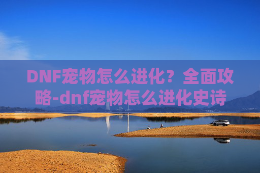 DNF宠物怎么进化？全面攻略-dnf宠物怎么进化史诗