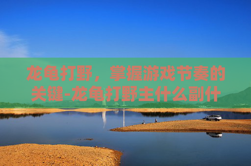龙龟打野，掌握游戏节奏的关键-龙龟打野主什么副什么