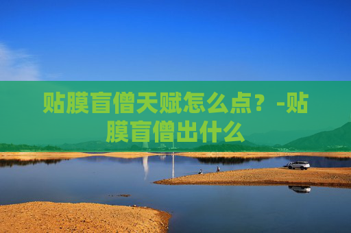 贴膜盲僧天赋怎么点？-贴膜盲僧出什么