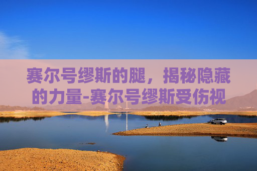 赛尔号缪斯的腿,揭秘隐藏的力量-赛尔号缪斯受伤视频 赛尔号缪斯的腿,揭秘隐藏的力量-赛尔号缪斯受伤视频