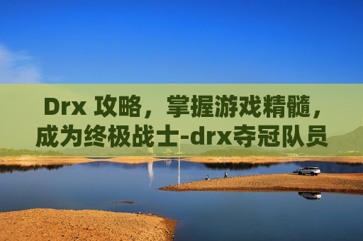 Drx 攻略，掌握游戏精髓，成为终极战士-drx夺冠队员