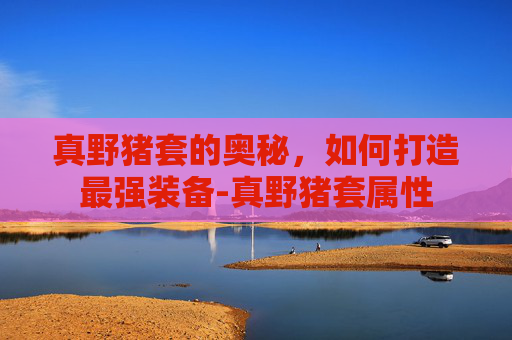 真野猪套的奥秘，如何打造最强装备-真野猪套属性
