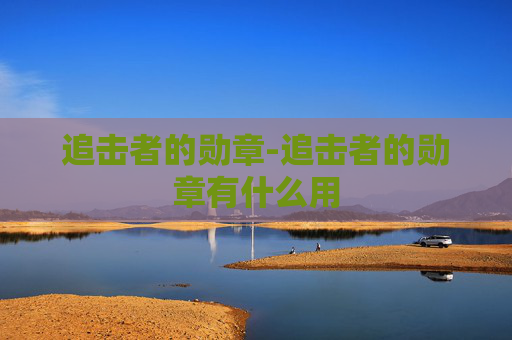 追击者的勋章-追击者的勋章有什么用