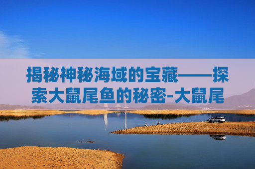 揭秘神秘海域的宝藏——探索大鼠尾鱼的秘密-大鼠尾鱼配方哪里买