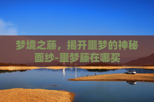 梦境之藤，揭开噩梦的神秘面纱-噩梦藤在哪买