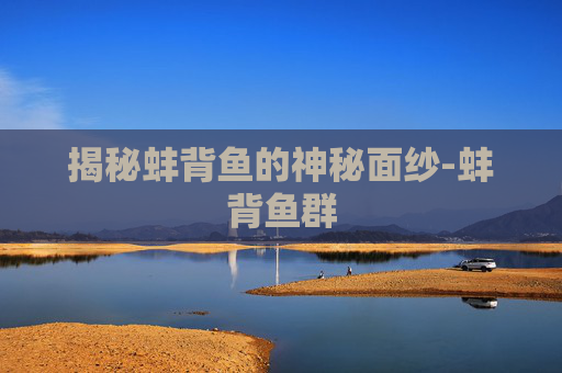 揭秘蚌背鱼的神秘面纱-蚌背鱼群 揭秘蚌背鱼的神秘面纱-蚌背鱼群