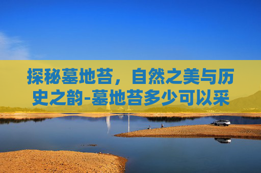 探秘墓地苔，自然之美与历史之韵-墓地苔多少可以采