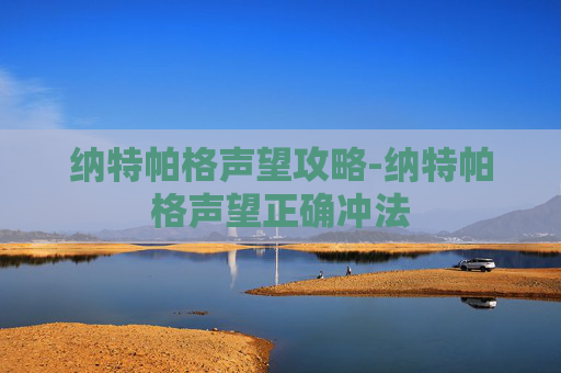 纳特帕格声望攻略-纳特帕格声望正确冲法