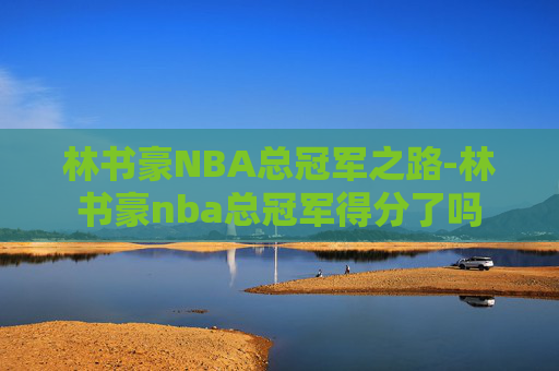 林书豪NBA总冠军之路-林书豪nba总冠军得分了吗