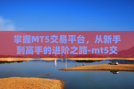 掌握MT5交易平台，从新手到高手的进阶之路-mt5交易平台官网下载安卓