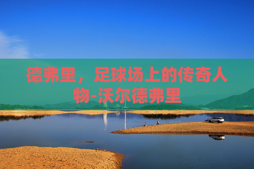 德弗里，足球场上的传奇人物-沃尔德弗里