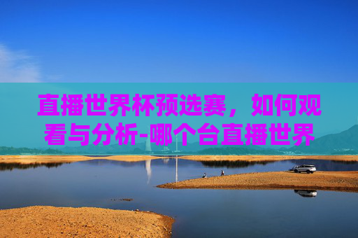 直播世界杯预选赛，如何观看与分析-哪个台直播世界杯预选赛