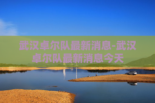 武汉卓尔队最新消息-武汉卓尔队最新消息今天