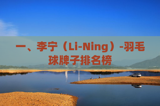 一、李宁（Li-Ning）-羽毛球牌子排名榜