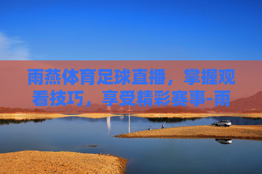 雨燕体育足球直播，掌握观看技巧，享受精彩赛事-雨燕体育足球直播免费观看