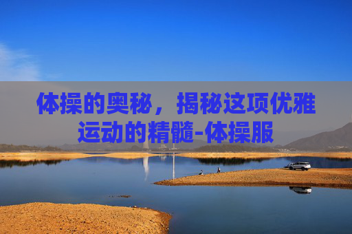 体操的奥秘，揭秘这项优雅运动的精髓-体操服