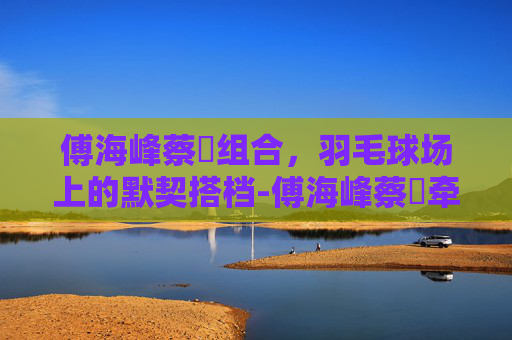 傅海峰蔡赟组合，羽毛球场上的默契搭档-傅海峰蔡赟牵手