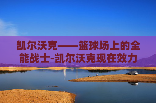 凯尔沃克——篮球场上的全能战士-凯尔沃克现在效力哪支球队