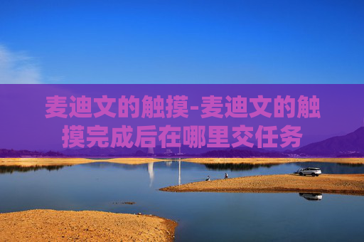 麦迪文的触摸-麦迪文的触摸完成后在哪里交任务