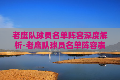 老鹰队球员名单阵容深度解析-老鹰队球员名单阵容表