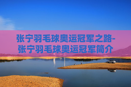 张宁羽毛球奥运冠军之路-张宁羽毛球奥运冠军简介