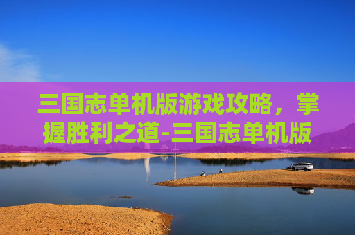 三国志单机版游戏攻略，掌握胜利之道-三国志单机版免费下载