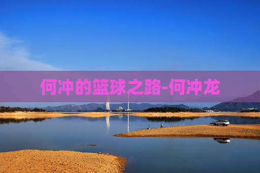 何冲的篮球之路-何冲龙