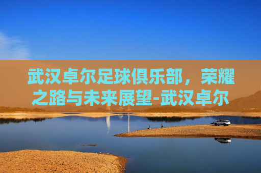 武汉卓尔足球俱乐部，荣耀之路与未来展望-武汉卓尔集团