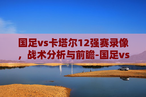 国足vs卡塔尔12强赛录像，战术分析与前瞻-国足vs卡塔尔12强赛录像视频
