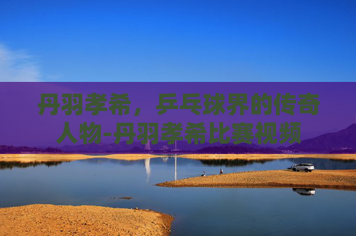 丹羽孝希，乒乓球界的传奇人物-丹羽孝希比赛视频