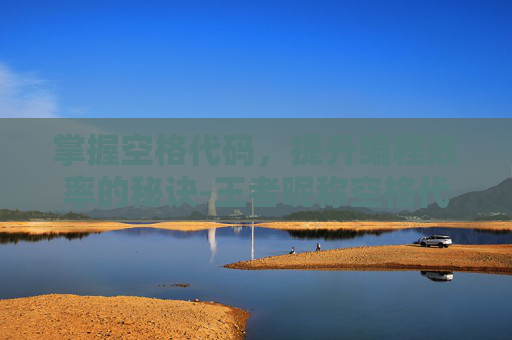 掌握空格代码，提升编程效率的秘诀-王者昵称空格代码