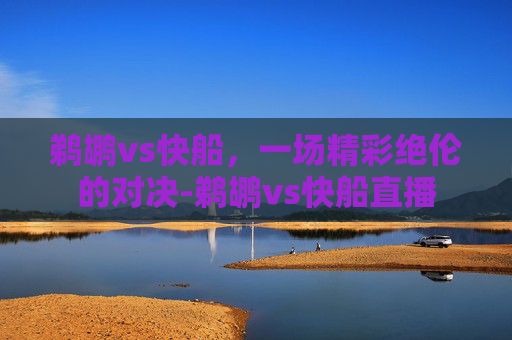 鹈鹕vs快船，一场精彩绝伦的对决-鹈鹕vs快船直播