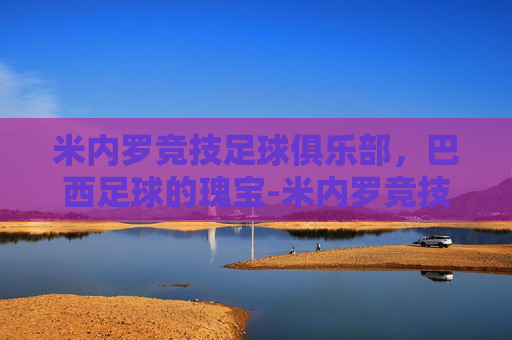 米内罗竞技足球俱乐部，巴西足球的瑰宝-米内罗竞技足球俱乐部身价