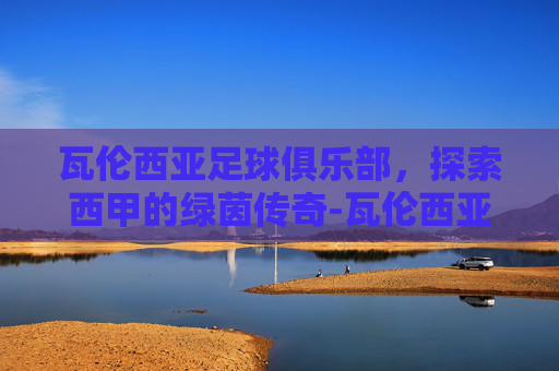 瓦伦西亚足球俱乐部，探索西甲的绿茵传奇-瓦伦西亚足球俱乐部阿根廷球员
