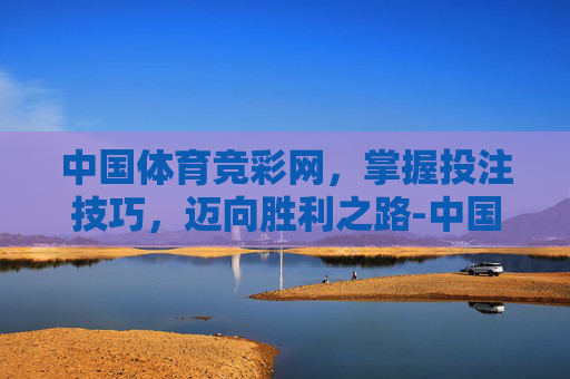 中国体育竞彩网，掌握投注技巧，迈向胜利之路-中国体育竞彩网足球