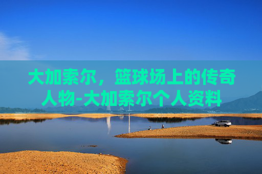 大加索尔，篮球场上的传奇人物-大加索尔个人资料