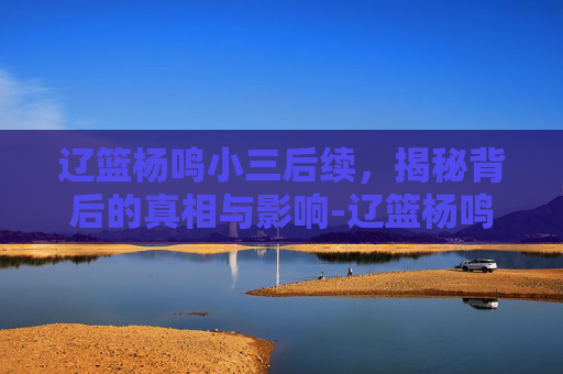 辽篮杨鸣小三后续，揭秘背后的真相与影响-辽篮杨鸣前妻