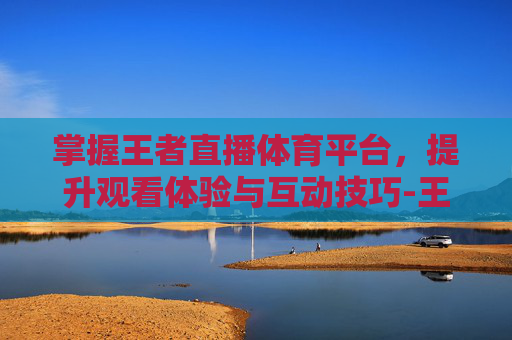 掌握王者直播体育平台，提升观看体验与互动技巧-王者直播体育平台有哪些