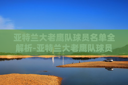 亚特兰大老鹰队球员名单全解析-亚特兰大老鹰队球员名单照片