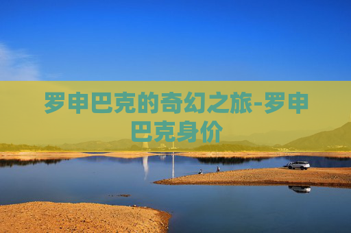 罗申巴克的奇幻之旅-罗申巴克身价