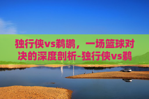 独行侠vs鹈鹕，一场篮球对决的深度剖析-独行侠vs鹈鹕全场回放